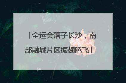 全运会落子长沙，南部融城片区振翅腾飞