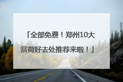 全部免费！郑州10大赏荷好去处推荐来啦！