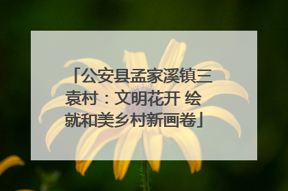 公安县孟家溪镇三袁村：文明花开 绘就和美乡村新画卷