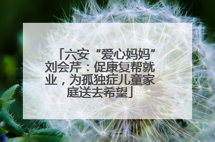 六安“爱心妈妈”刘会芹：促康复帮就业，为孤独症儿童家庭送去希望