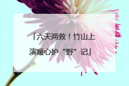 六天两救！竹山上演暖心护“野”记