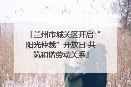 兰州市城关区开启“阳光仲裁”开放日 共筑和谐劳动关系