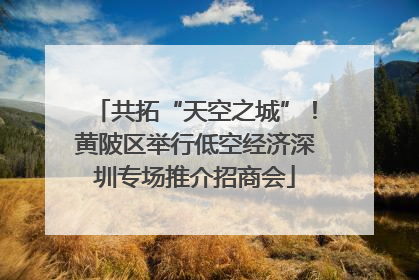共拓“天空之城”！黄陂区举行低空经济深圳专场推介招商会