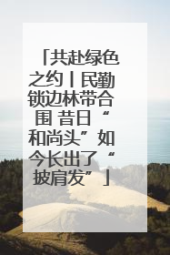 共赴绿色之约丨民勤锁边林带合围 昔日“和尚头”如今长出了“披肩发”