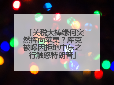 关税大棒缘何突然挥向苹果？库克被曝因拒绝中东之行触怒特朗普