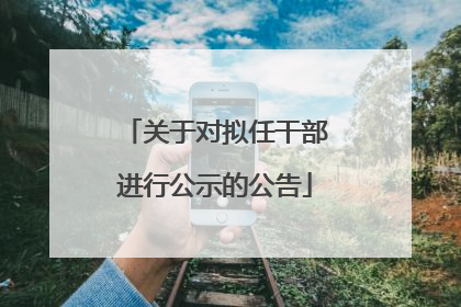 关于对拟任干部进行公示的公告