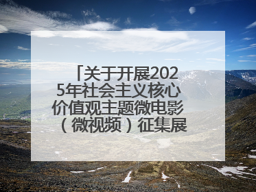 关于开展2025年社会主义核心价值观主题微电影（微视频）征集展示活动的公告