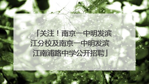 关注！南京一中明发滨江分校及南京一中明发滨江南浦路中学公开招聘