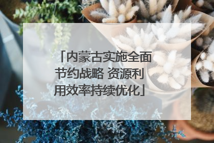 内蒙古实施全面节约战略 资源利用效率持续优化