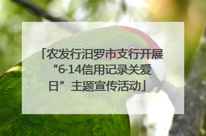 农发行汨罗市支行开展“6·14信用记录关爱日”主题宣传活动