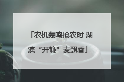 农机轰鸣抢农时 湖滨“开镰”麦飘香
