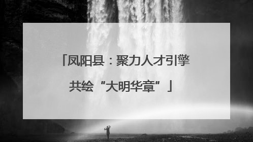 凤阳县：聚力人才引擎 共绘“大明华章”