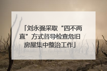 刘永强采取“四不两直”方式督导检查危旧房屋集中整治工作