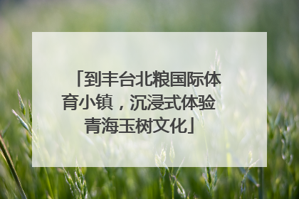 到丰台北粮国际体育小镇，沉浸式体验青海玉树文化