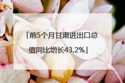 前5个月甘肃进出口总值同比增长43.2%