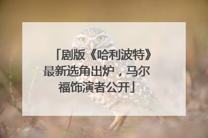 剧版《哈利波特》最新选角出炉，马尔福饰演者公开
