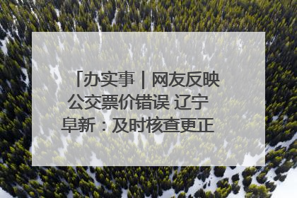 办实事｜网友反映公交票价错误 辽宁阜新：及时核查更正 加强实时巡检