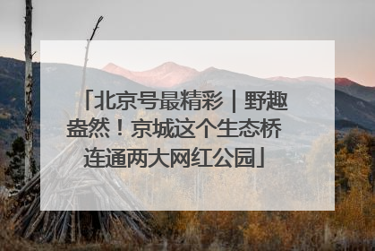 北京号最精彩｜野趣盎然！京城这个生态桥连通两大网红公园