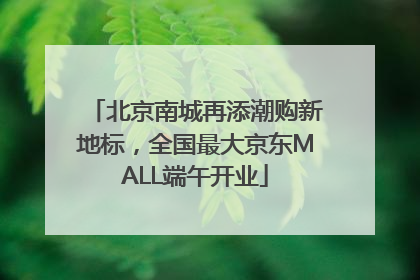 北京南城再添潮购新地标，全国最大京东MALL端午开业
