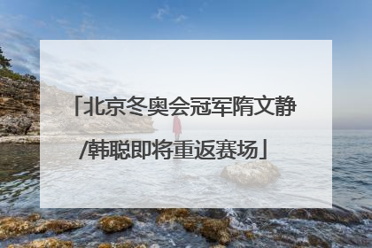 北京冬奥会冠军隋文静/韩聪即将重返赛场