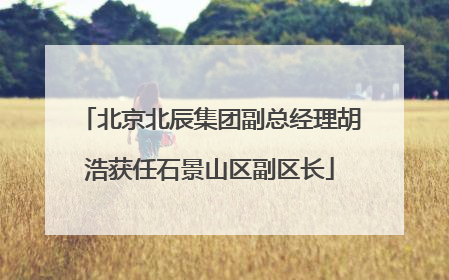 北京北辰集团副总经理胡浩获任石景山区副区长