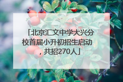 北京汇文中学大兴分校首届小升初招生启动，共招270人