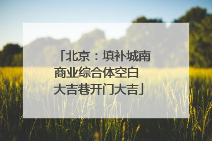 北京：填补城南商业综合体空白 大吉巷开门大吉