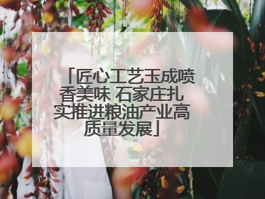 匠心工艺玉成喷香美味 石家庄扎实推进粮油产业高质量发展