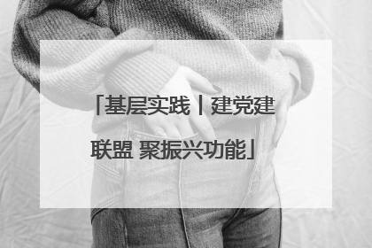 基层实践丨建党建联盟 聚振兴功能