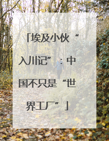 埃及小伙“入川记”：中国不只是“世界工厂”