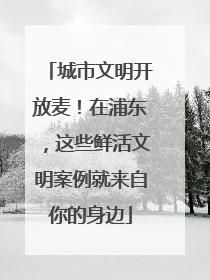 城市文明开放麦！在浦东，这些鲜活文明案例就来自你的身边