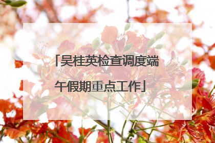 吴桂英检查调度端午假期重点工作