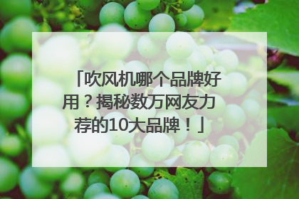 吹风机哪个品牌好用？揭秘数万网友力荐的10大品牌！
