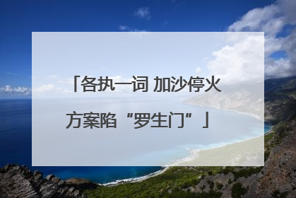 各执一词 加沙停火方案陷“罗生门”