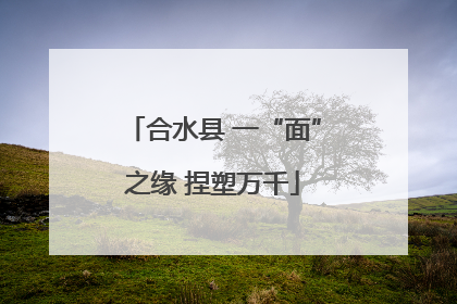 合水县 一“面”之缘 捏塑万千