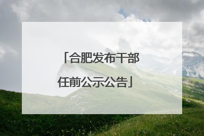 合肥发布干部任前公示公告