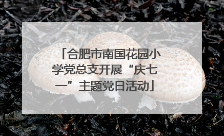 合肥市南国花园小学党总支开展“庆七一”主题党日活动