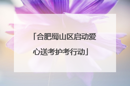 合肥蜀山区启动爱心送考护考行动