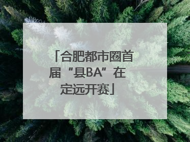 合肥都市圈首届“县BA”在定远开赛