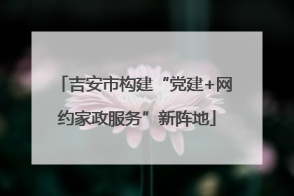 吉安市构建“党建+网约家政服务”新阵地