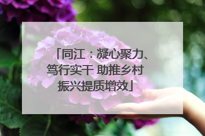 同江：凝心聚力、笃行实干 助推乡村振兴提质增效