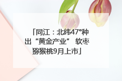 同江：北纬47°种出“黄金产业” 软枣猕猴桃9月上市