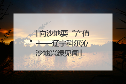 向沙地要“产值”——辽宁科尔沁沙地兴绿见闻