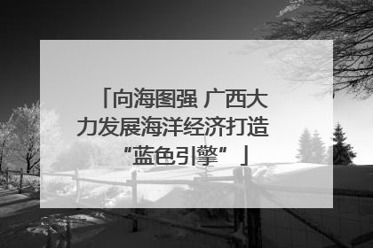 向海图强 广西大力发展海洋经济打造“蓝色引擎”