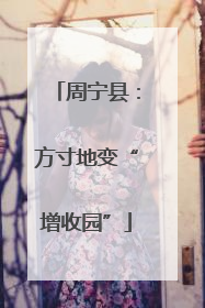 周宁县：方寸地变“增收园”