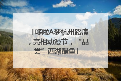 哆啦A梦杭州路演，亮相动漫节，“品尝”西湖醋鱼