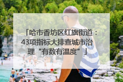 哈市香坊区红旗街道：43项指标大排查城市治理“有数有温度”