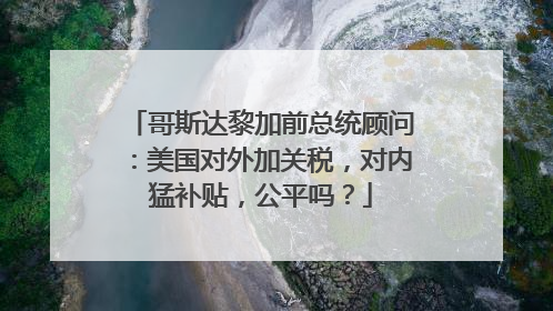 哥斯达黎加前总统顾问：美国对外加关税，对内猛补贴，公平吗？