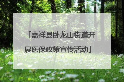 嘉祥县卧龙山街道开展医保政策宣传活动
