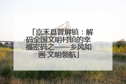 嘉禾县晋屏镇：解码全国文明村镇的幸福密码之——乡风如画·文明领航